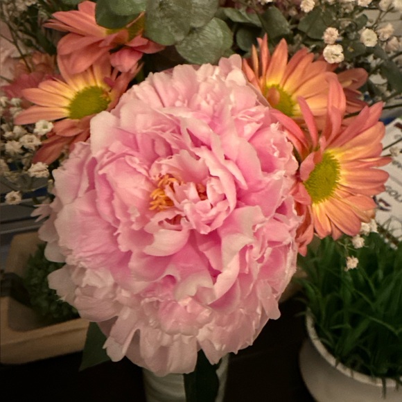 sarahbos20